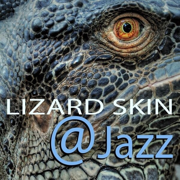 Cover art for Lizard Skin